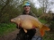 current PB.. looking for a 30 this summer though!! :)