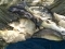 Half of my catch