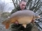36 lb 12 oz feb 2010