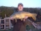 this one snapped my 8ft match rod
