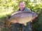 21lb,10 common