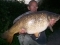 25lb,2 common