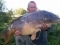 24lb,2 mirror