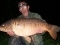 27lb mirror