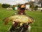 10 lb Common