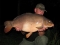 a new rookley 30