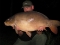 a new rookley 30