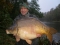54lb 4oz