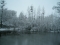The mostly frozen lake