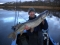 A PB Scottish Lassie