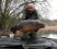 First cast with F.I.A 32lb mirrow