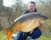 graham hughes 36lb 8oz
