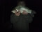 my son Jud with Roach/Bream hybrid?