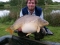 34 1/2lb mirror