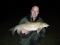 10lbs 11oz Dove Barbel.