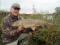 A great photo and a great fish!