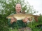 I actually saw this fish take the bait - amazing!